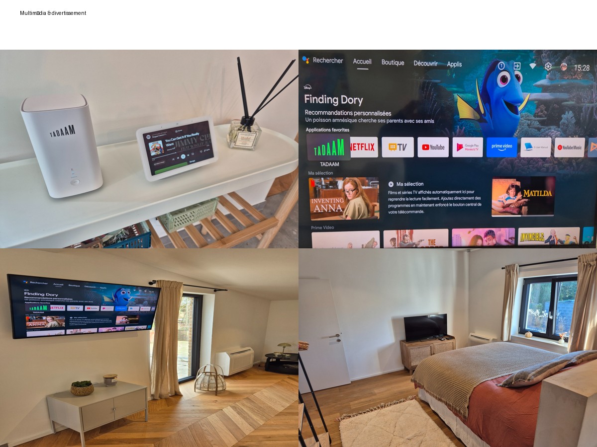 Télévision et multimédia